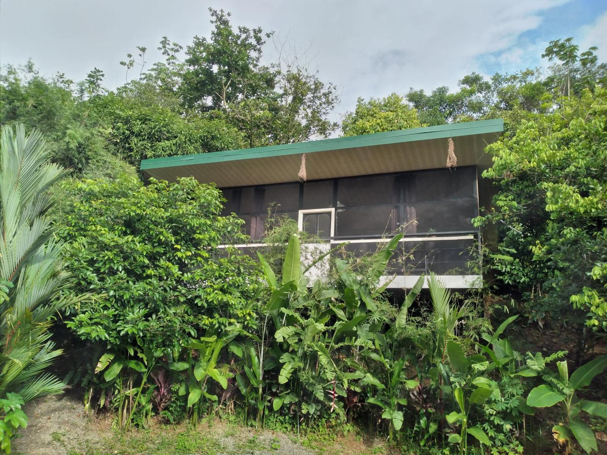 Cabinas Fave Uvita Exterior photo
