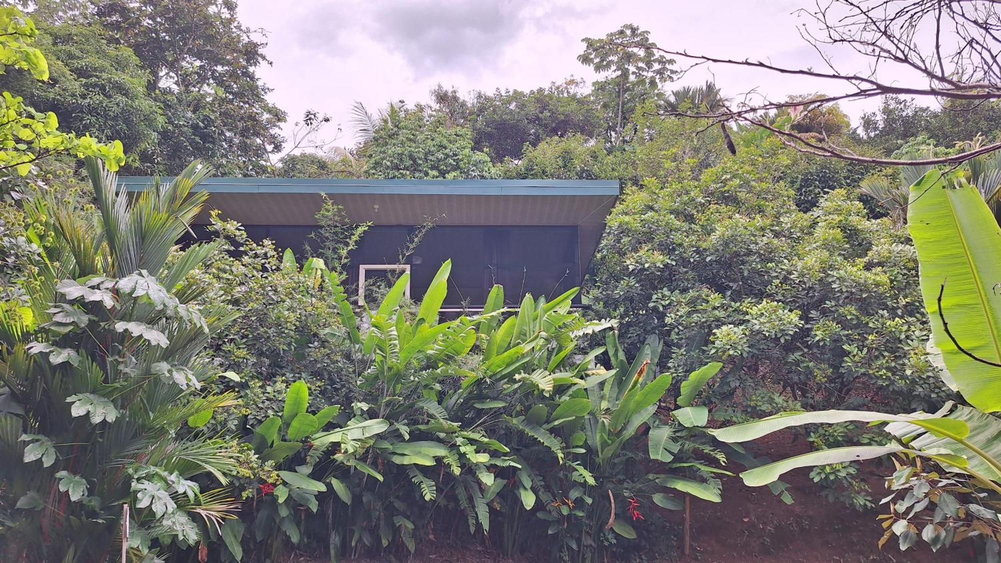 Cabinas Fave Uvita Exterior photo